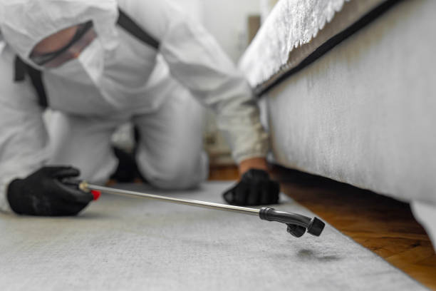 Professional Ant Control technician working in Hudson Lake, IN